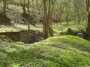 DSC00574.jpg